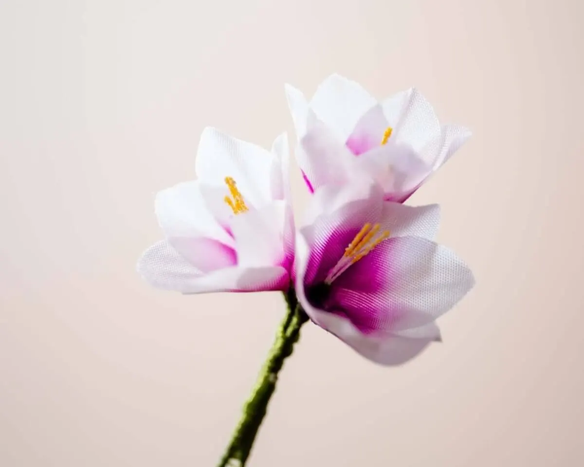Boutonnière Klebschwertel 3er (Ixia) - Ansicht 2