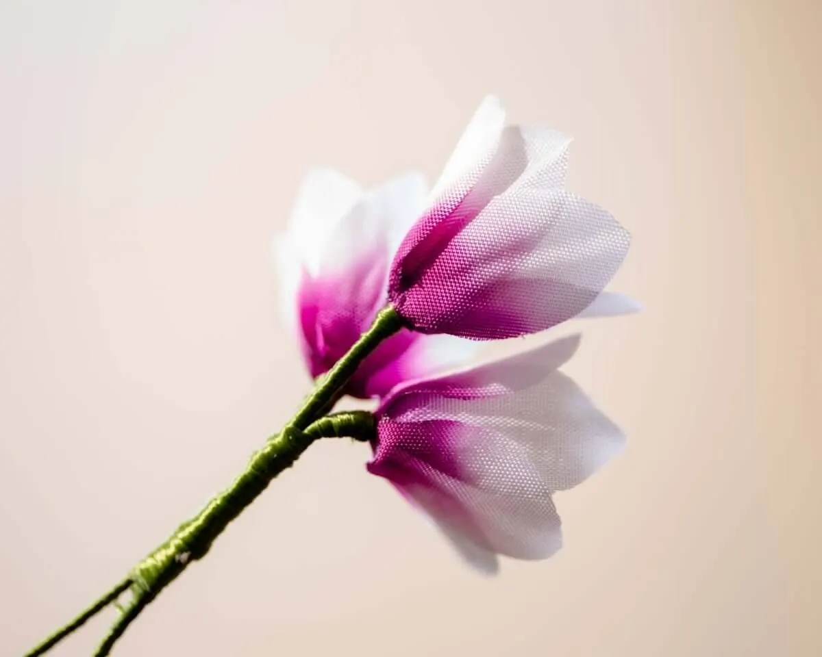 Boutonnière Klebschwertel 3er (Ixia) - Ansicht 3