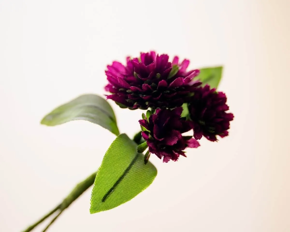 Boutonnière Klee Dunkelrot 3er (Trifolium rubrum) - Ansicht 2