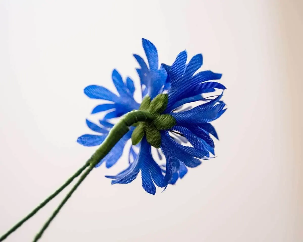 Boutonnière Kornblume Dunkelblau (Cyanus segetum) - Ansicht 3