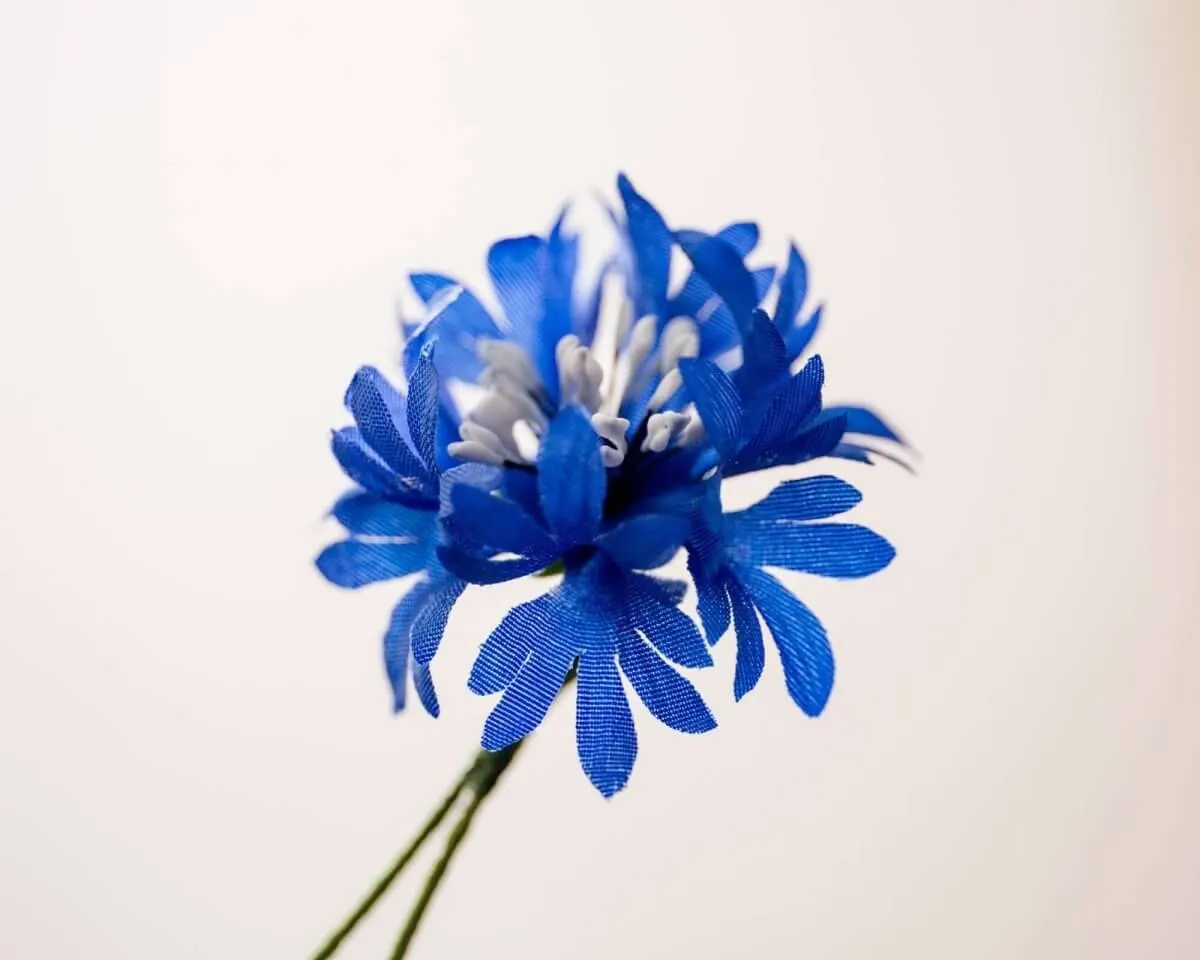 Boutonnière Kornblume Dunkelblau (Cyanus segetum) - Ansicht 2