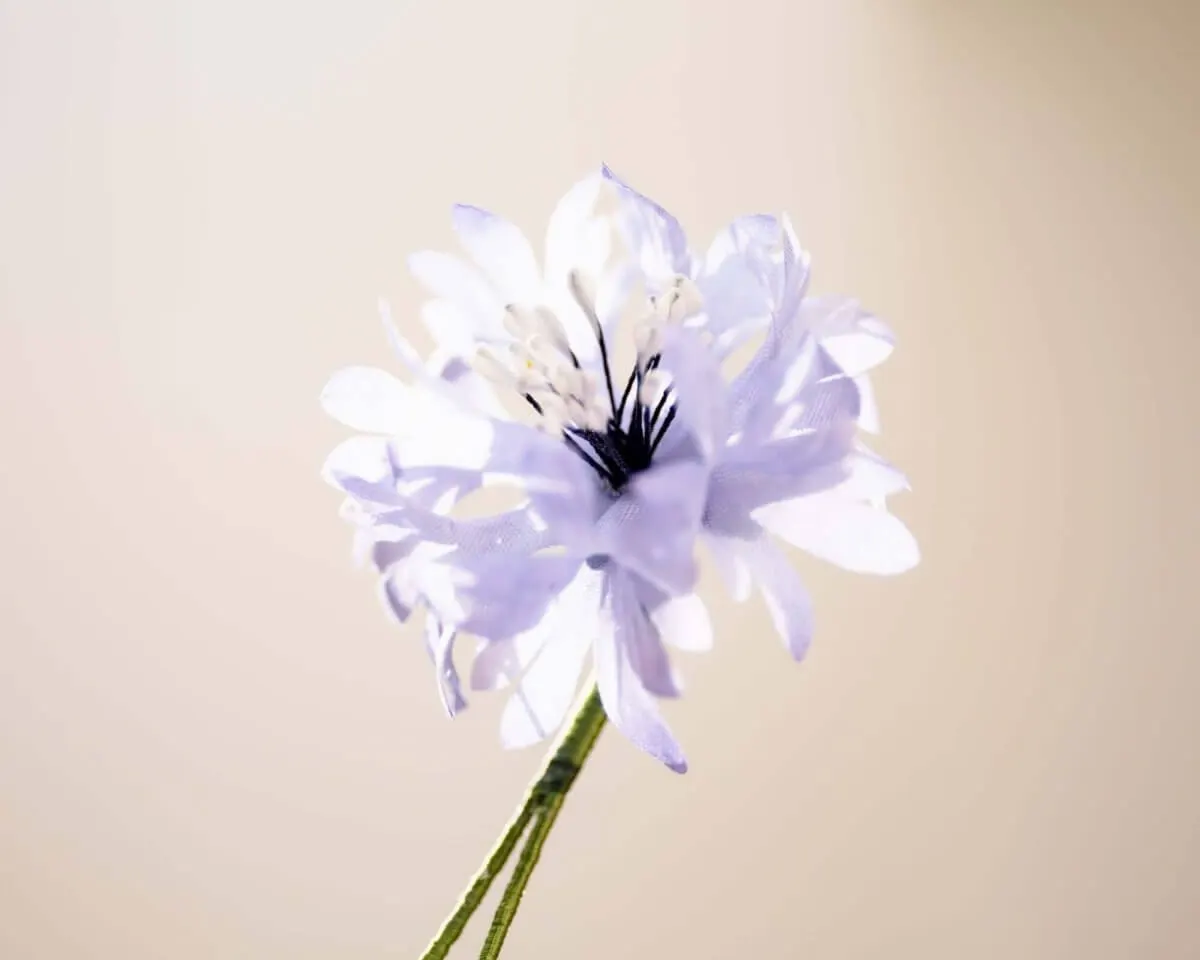 Boutonnière Kornblume Hellblau (Cyanus segetum) - Ansicht 2