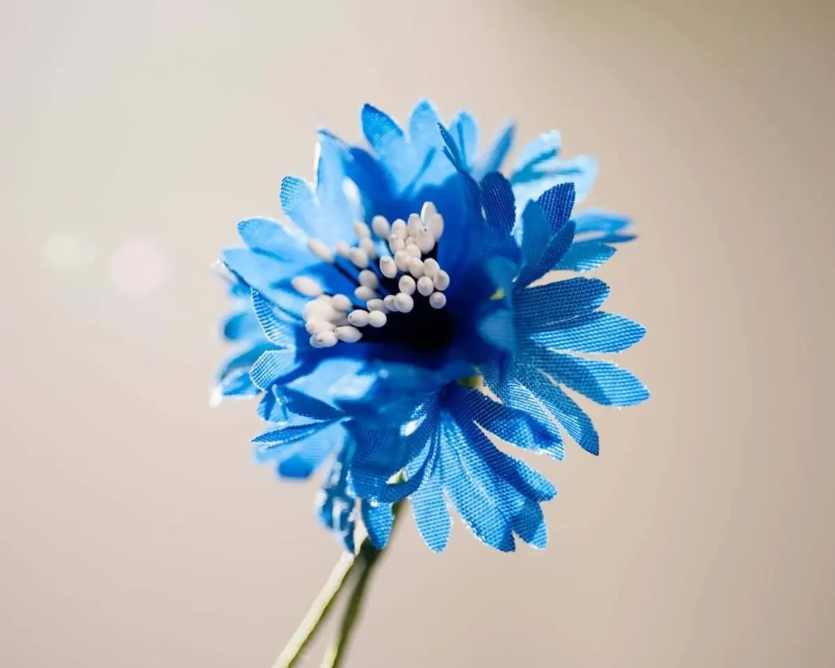 Boutonnière Kornblume Mittelblau (Cyanus segetum) - Ansicht 2