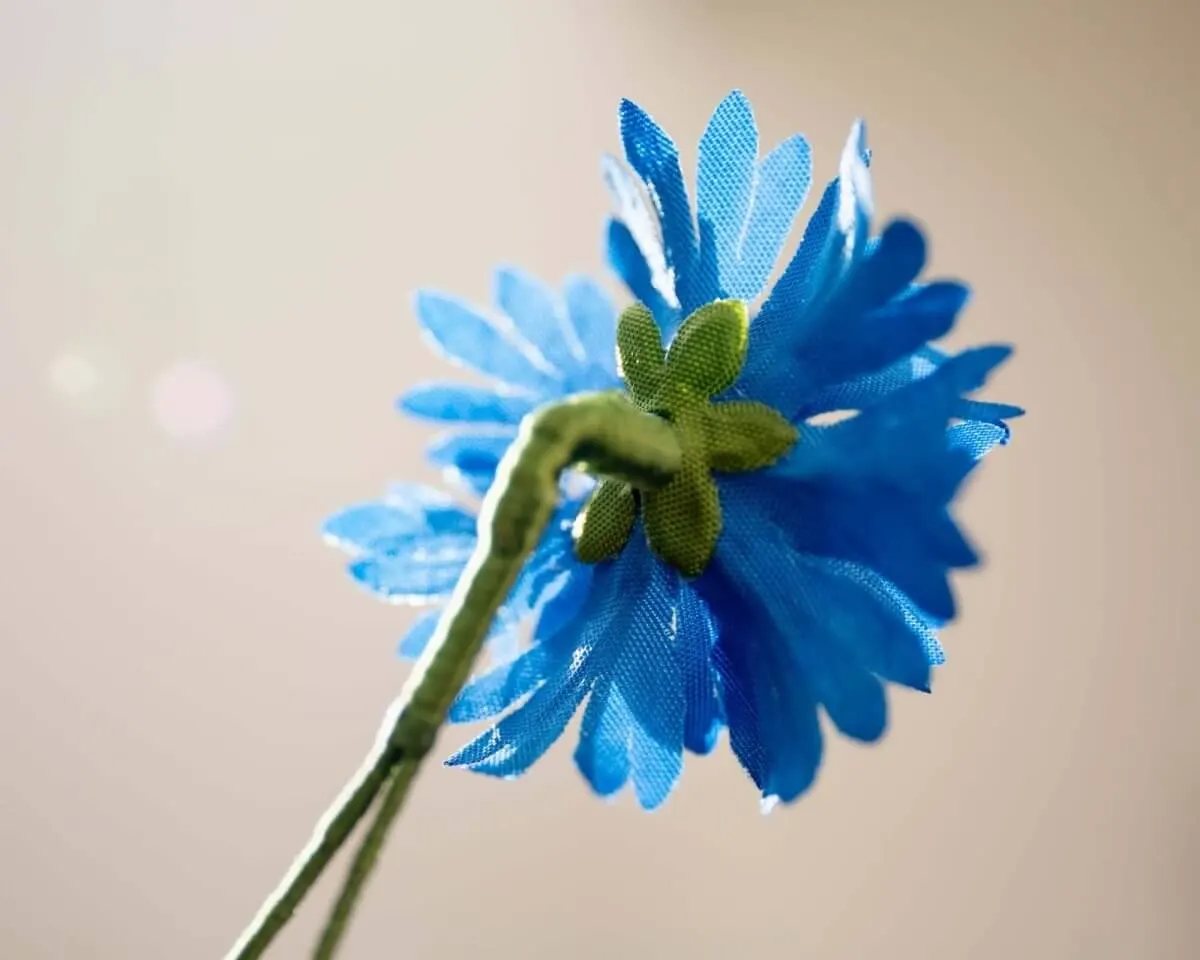 Boutonnière Kornblume Mittelblau (Cyanus segetum) - Ansicht 3