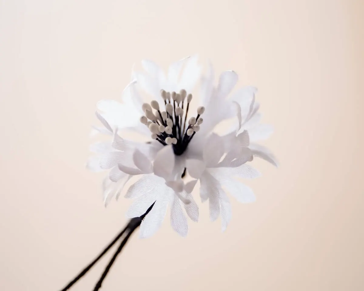 Boutonnière Kornblume Weiß (Cyanus segetum) - Ansicht 2