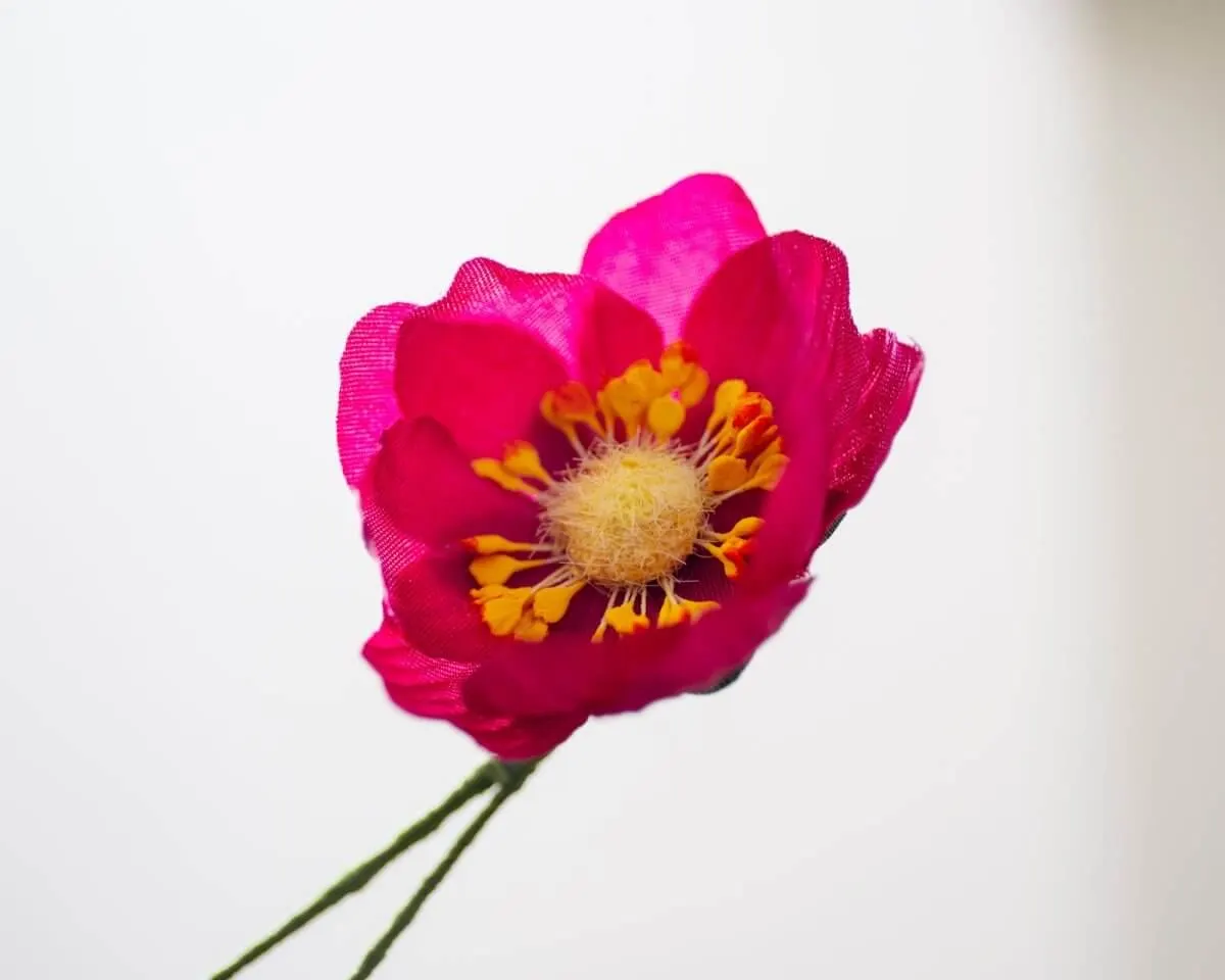 Boutonnière Lotusblüte Magenta (Nelumbo magentum) - Ansicht 2
