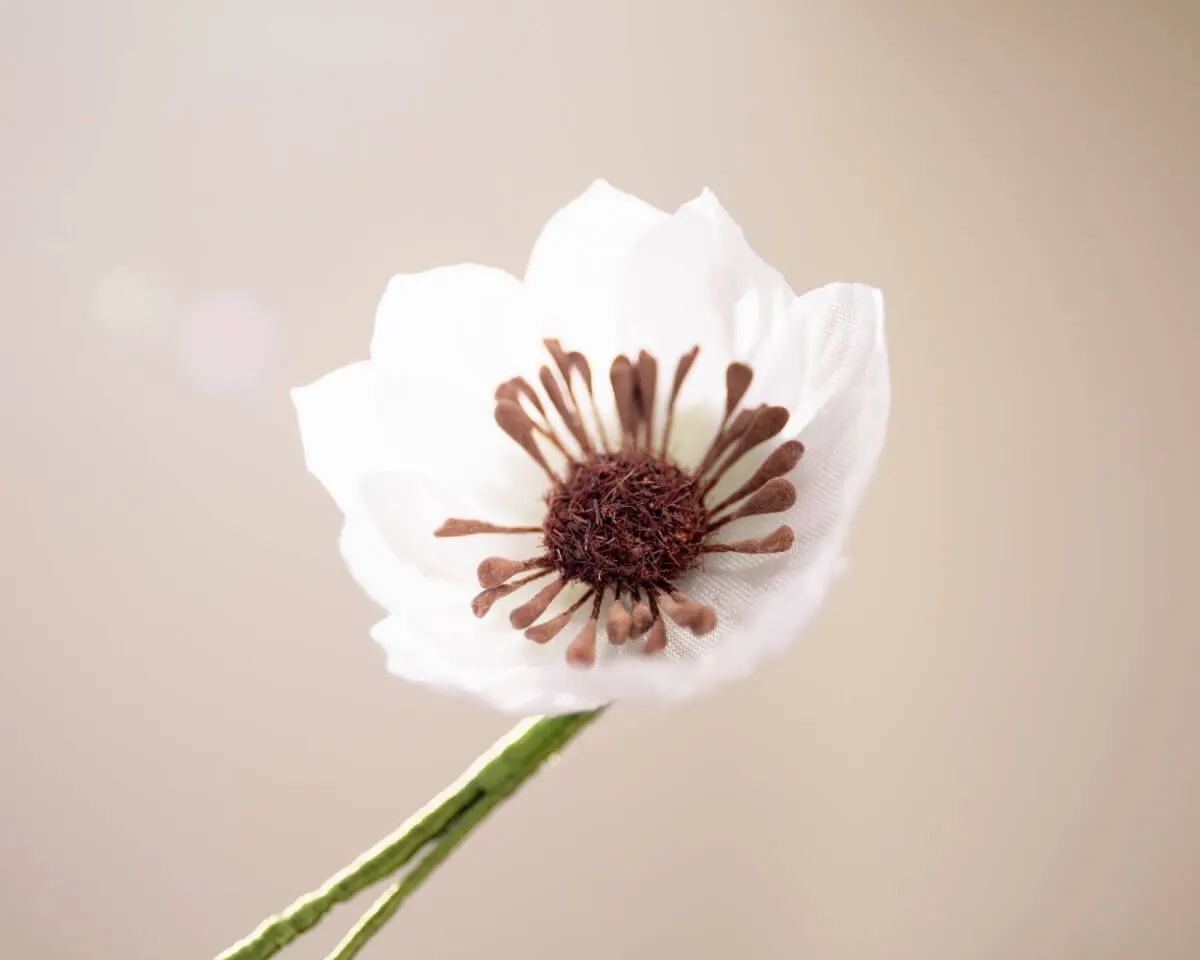 Boutonnière Lotusblüte Weiß-Braun (Nelumbo) - Ansicht 2