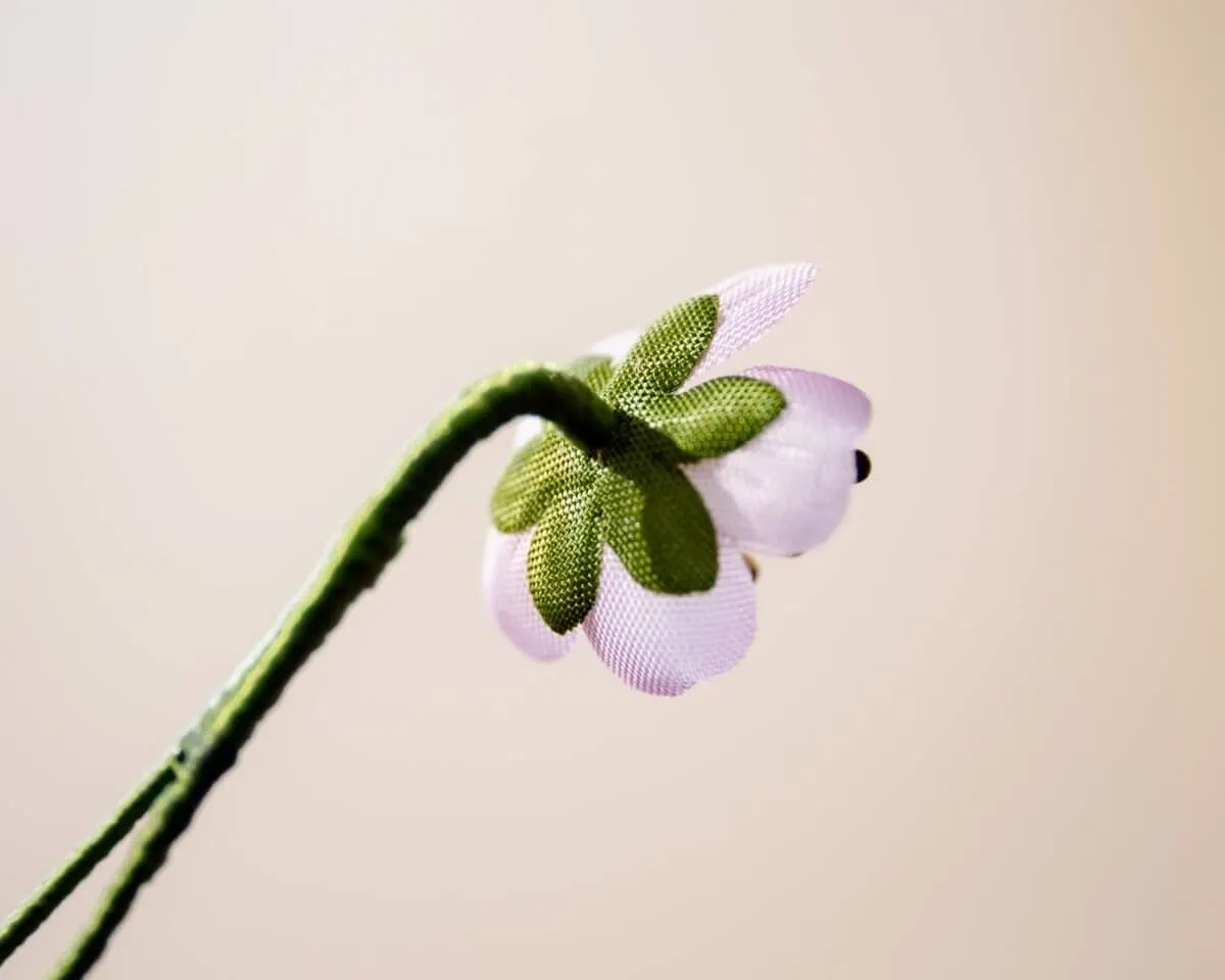 Boutonnière Mandelblüte Mini (Prunus dulcis) - Ansicht 3