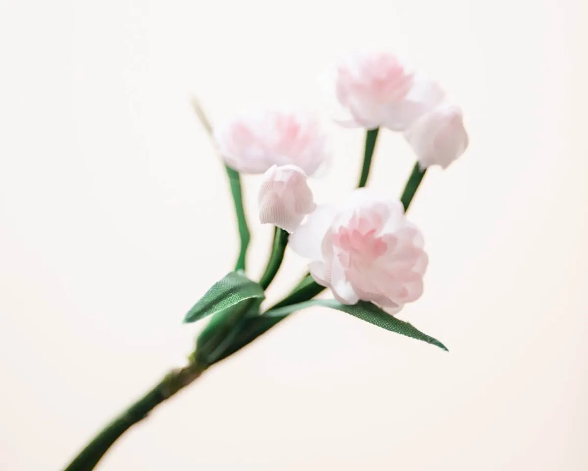 Boutonnière Mandelblüten Rosa (Bouquet) - Ansicht 2