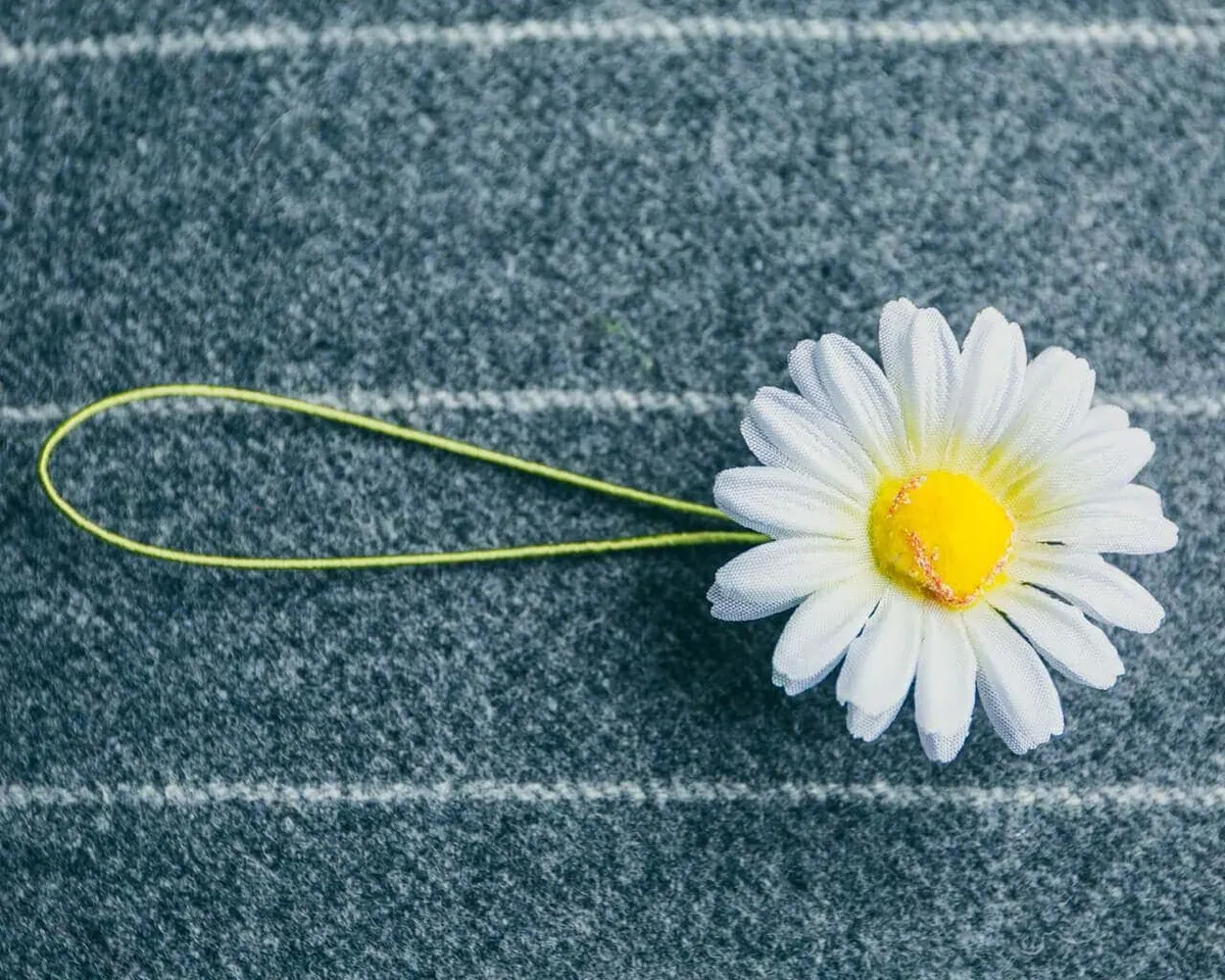 Boutonnière Margerite Groß (Leucanthemum) - Ansicht 7