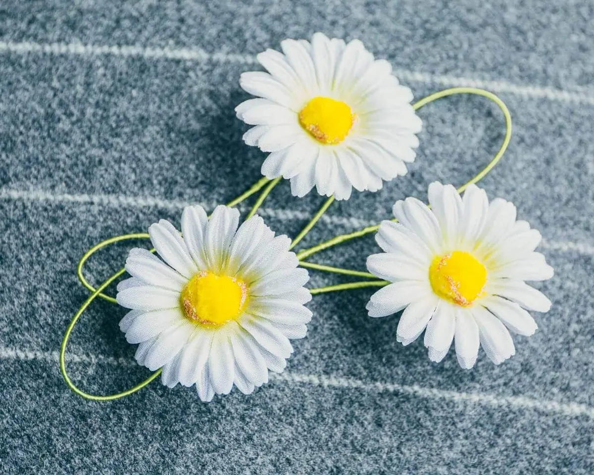 Boutonnière Margerite Groß (Leucanthemum) - Ansicht 6