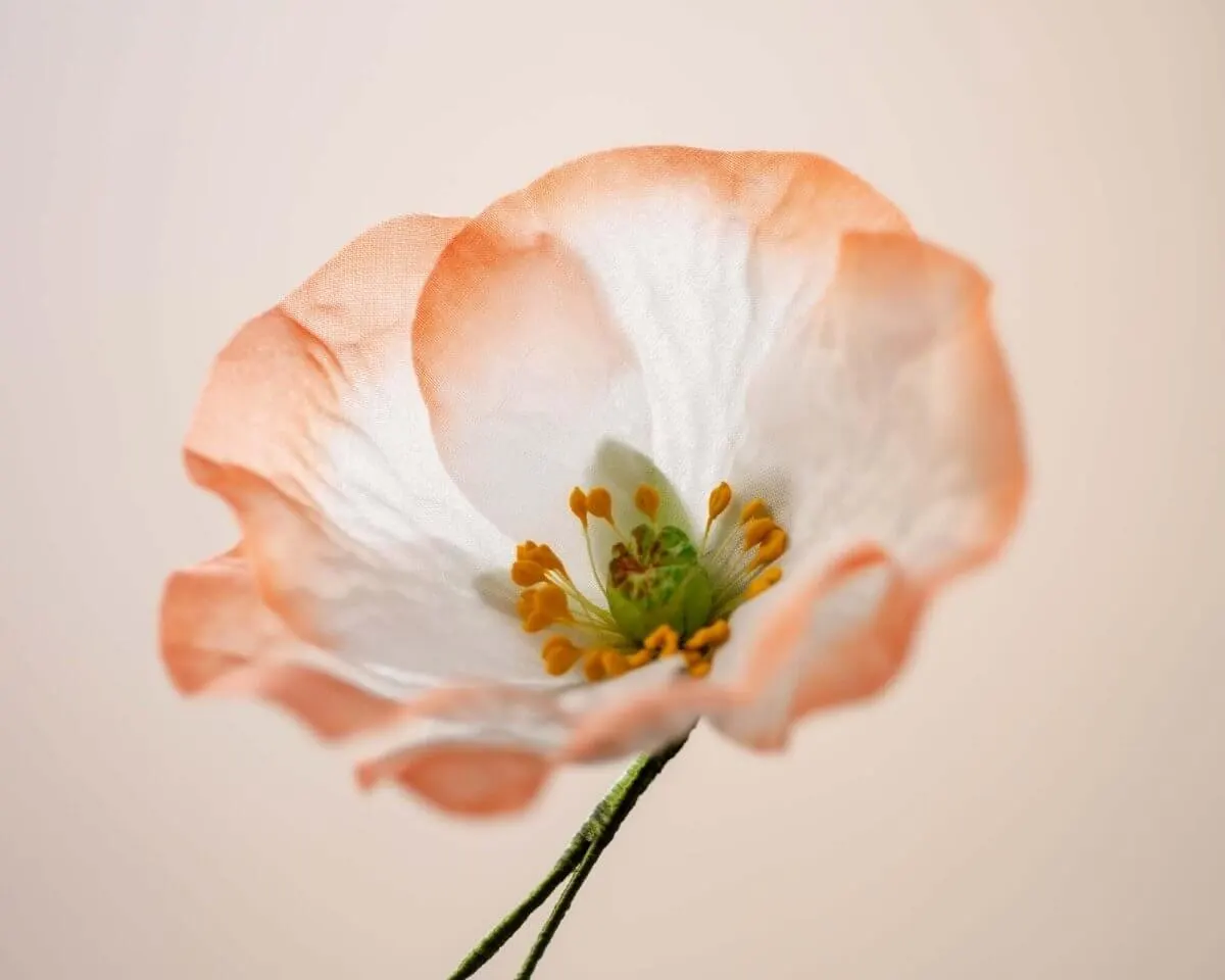 Boutonnière Mohnblume Lachs groß (Papaver rhoeas) - Ansicht 2
