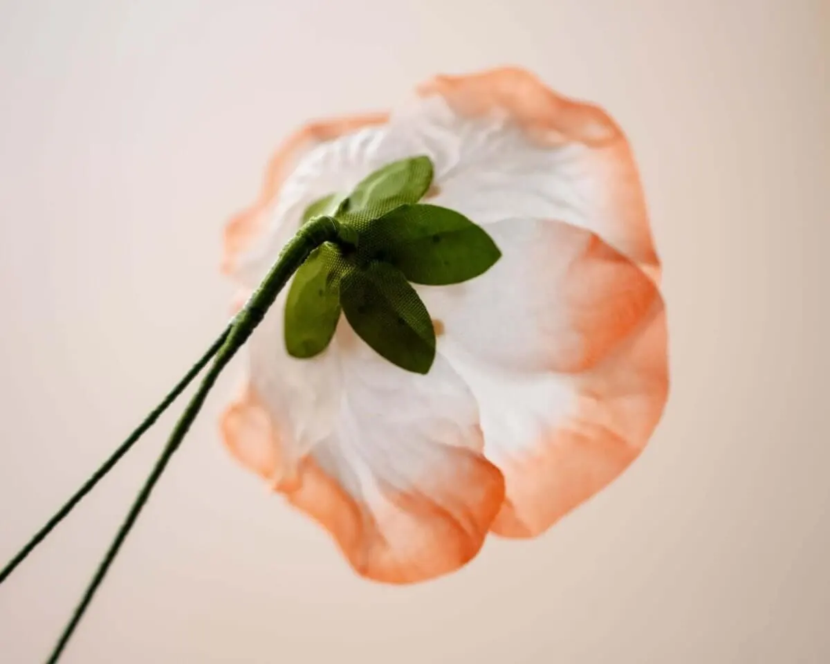 Boutonnière Mohnblume Lachs groß (Papaver rhoeas) - Ansicht 3