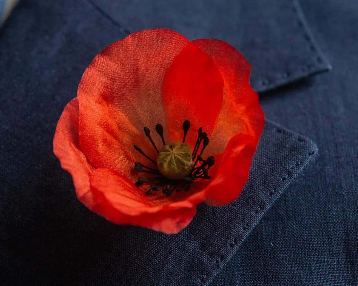 Boutonnière Mohnblume Rot (Papaver rhoeas) - Ansicht 4