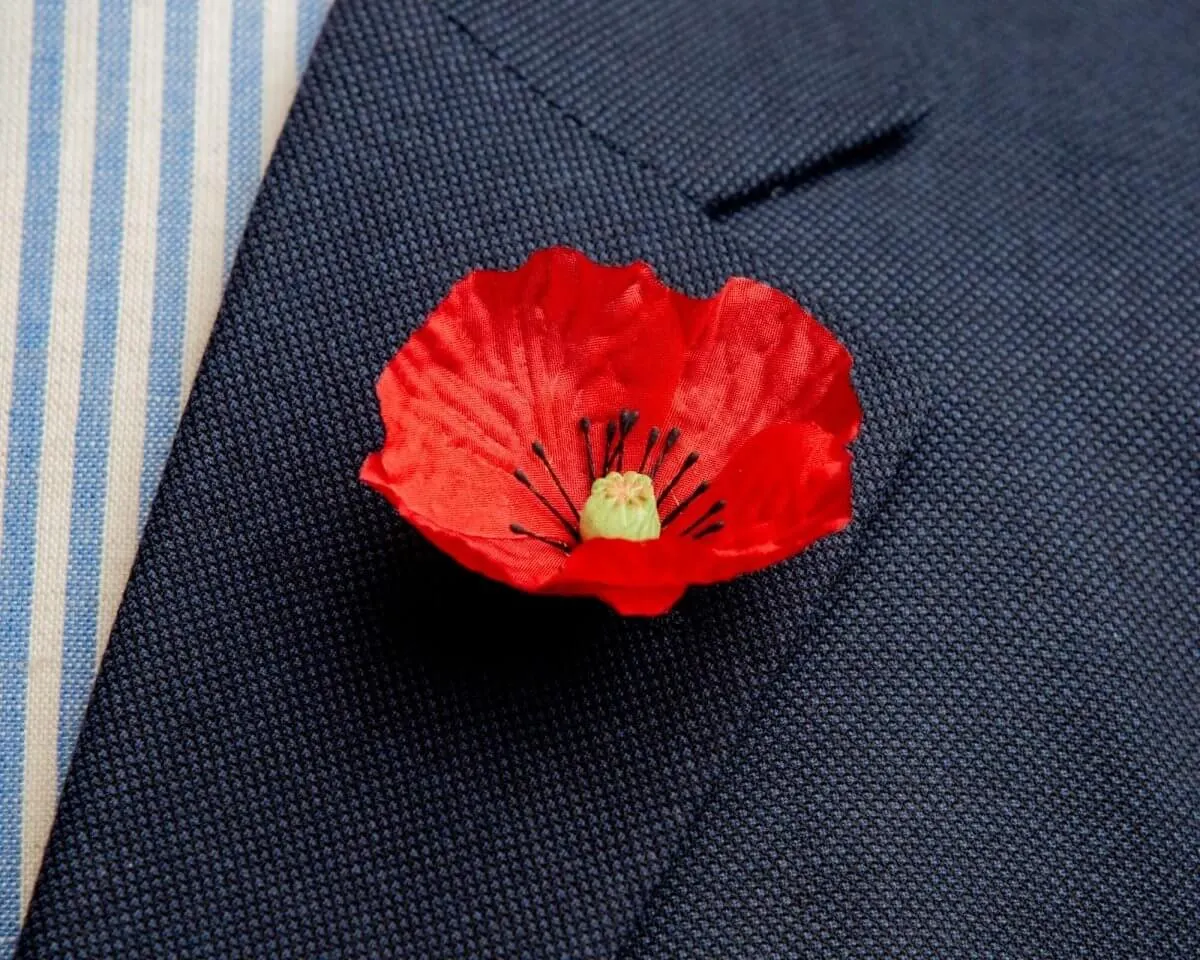 Boutonnière Mohnblume Rot (Papaver rhoeas)