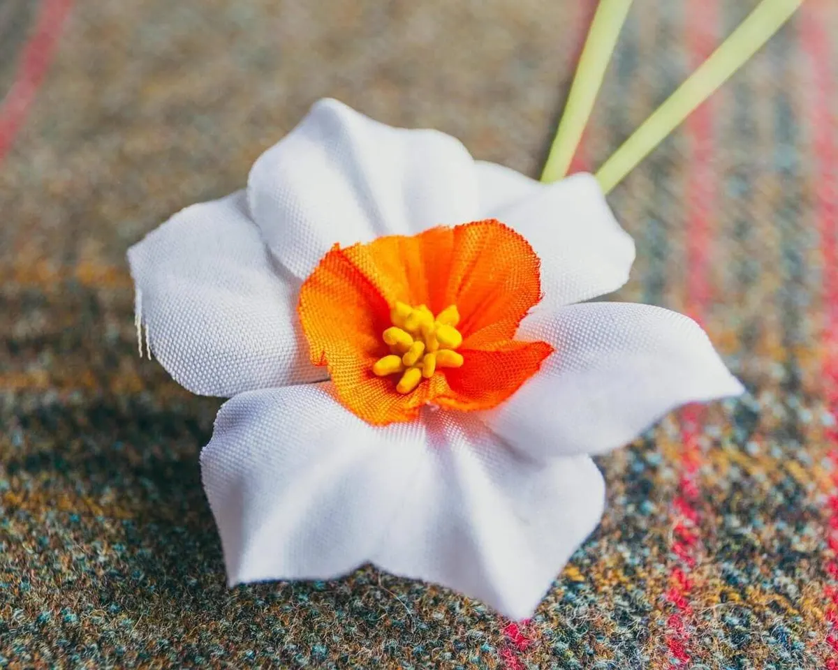 Boutonnière Narzisse Weiß (Narcissus) - Ansicht 4