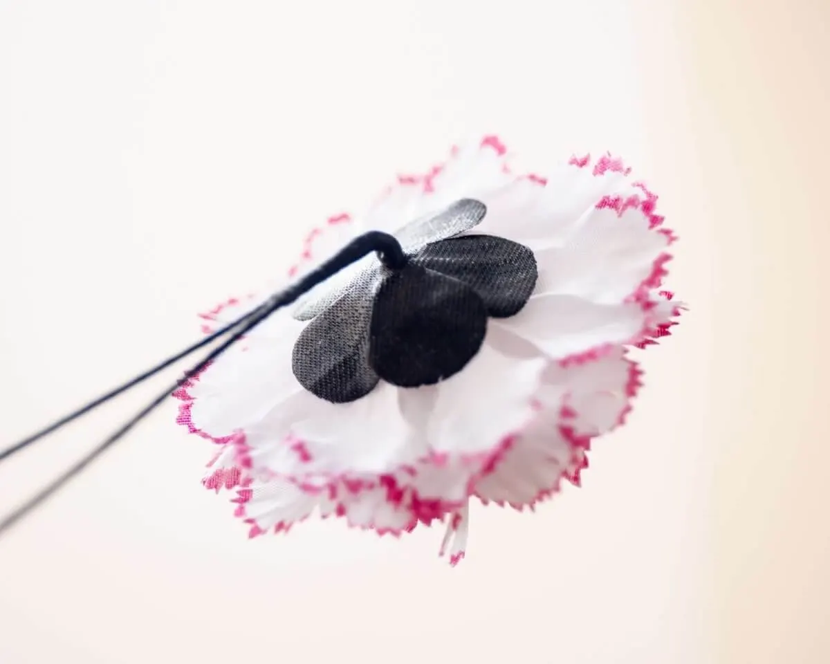 Boutonnière Nelke 'Alex Mendham' b Mittel - Ansicht 3