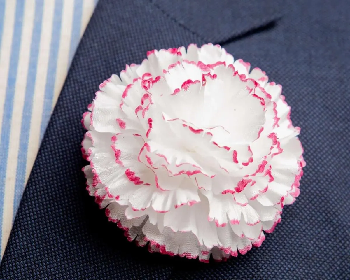 Boutonnière Nelke 'Alex Mendham' c Groß