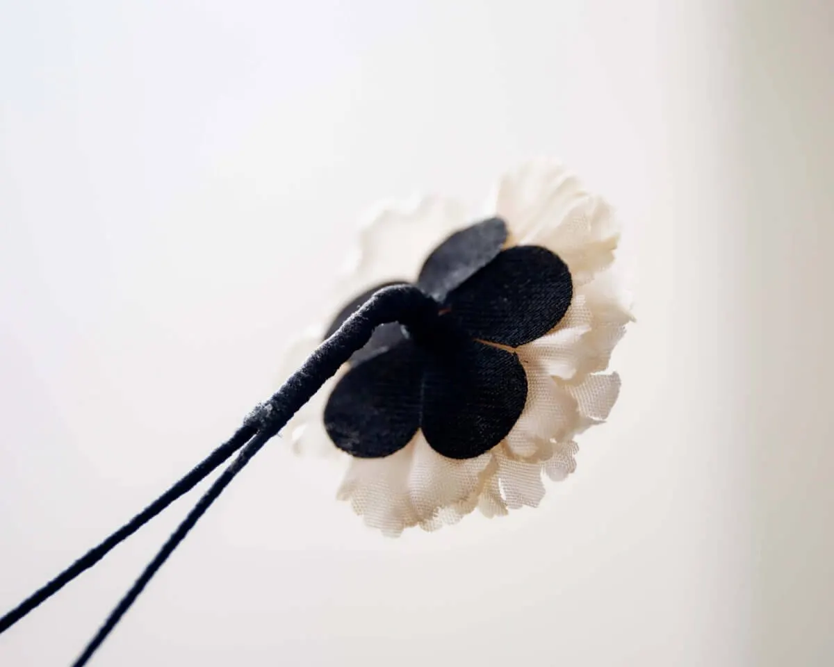Boutonnière Nelke Creme a Klein (Caryophyllaceae) - Ansicht 3