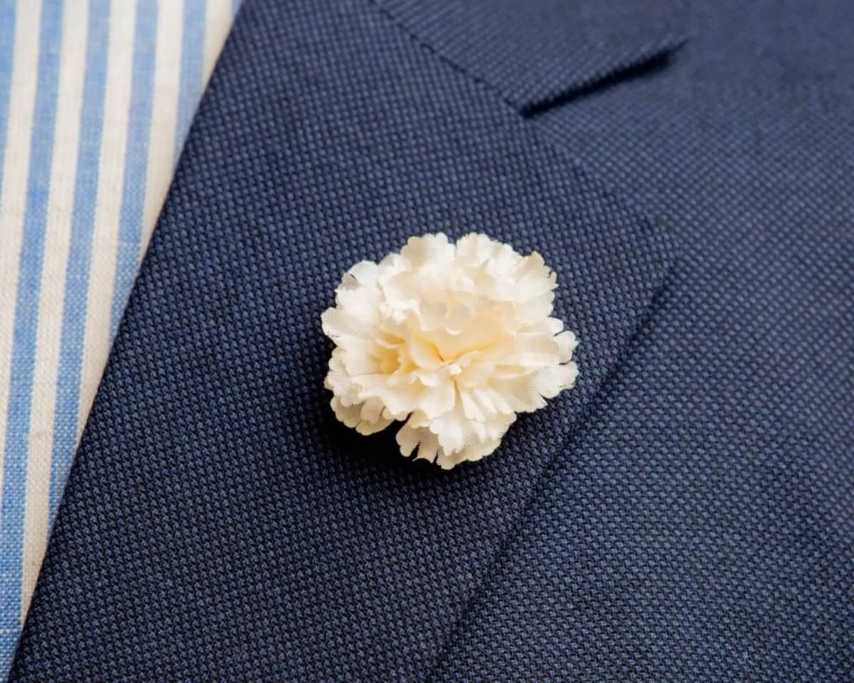 Boutonnière Nelke Creme a Klein (Caryophyllaceae)