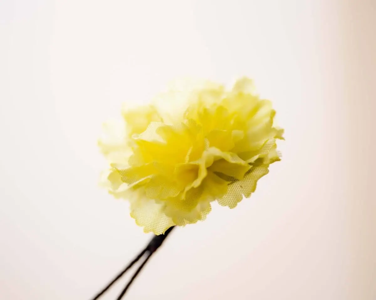 Boutonnière Nelke Gelb a Klein (Caryophyllaceae) - Ansicht 2
