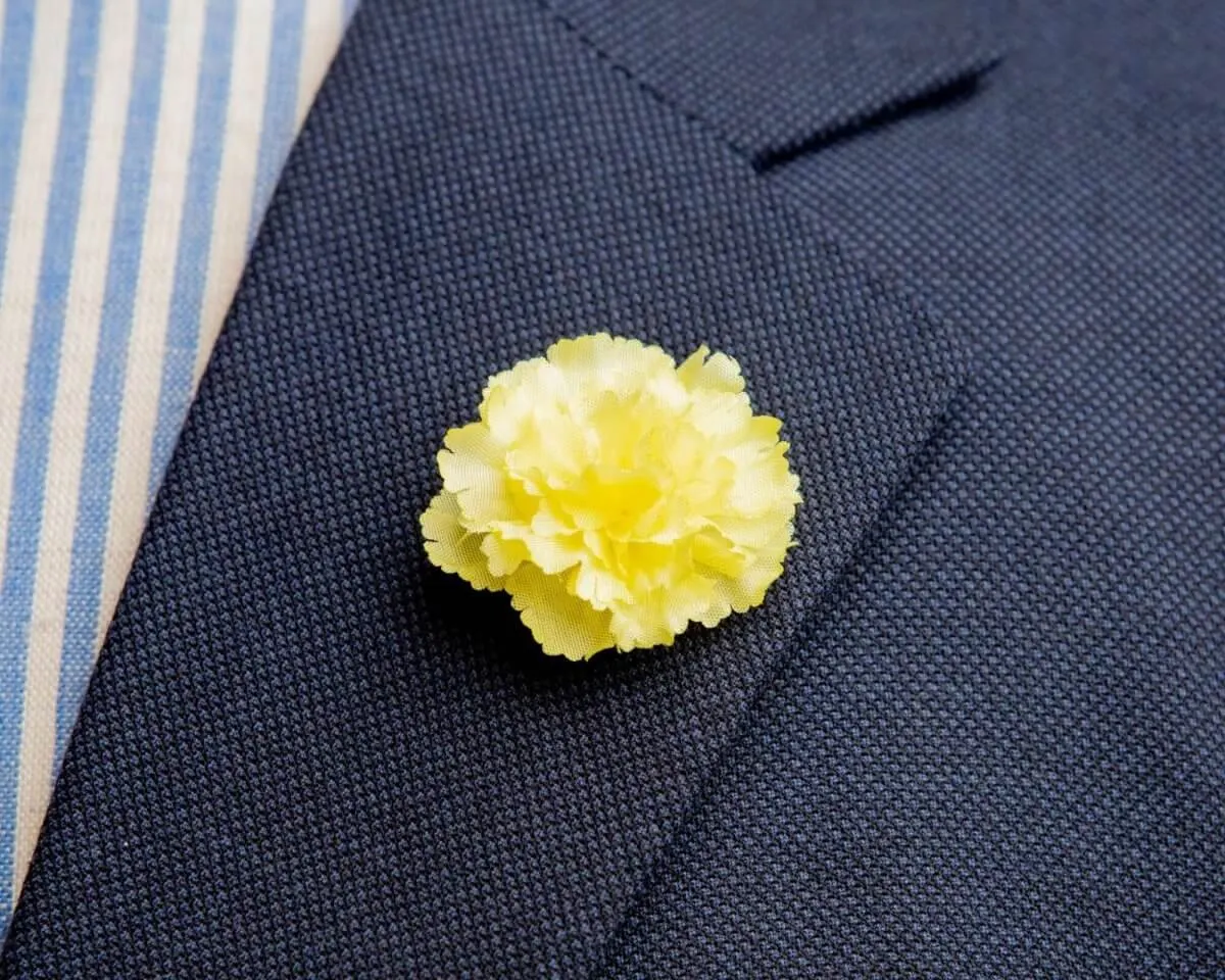 Boutonnière Nelke Gelb a Klein (Caryophyllaceae)