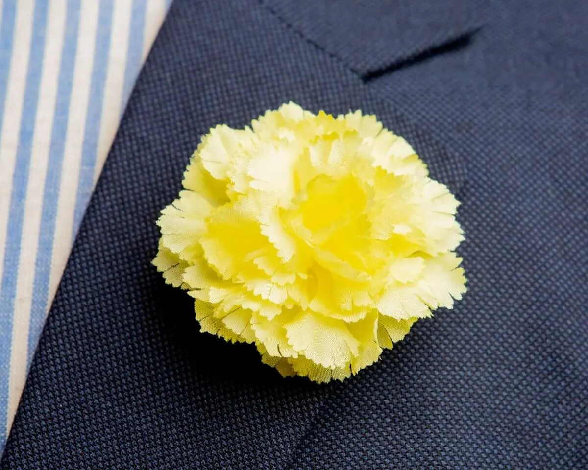 Boutonnière Nelke Gelb b Mittel (Caryophyllaceae)