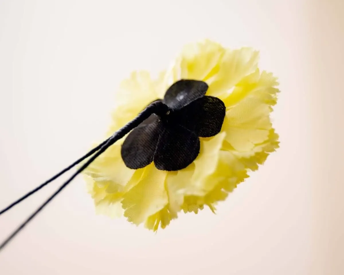 Boutonnière Nelke Gelb b Mittel (Caryophyllaceae) - Ansicht 3