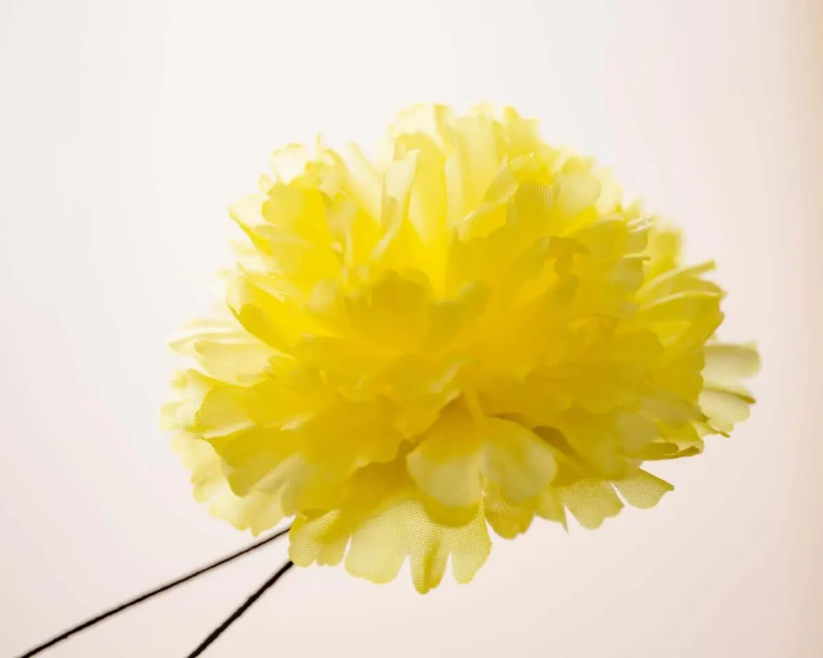 Boutonnière Nelke Gelb c Groß (Caryophyllaceae) - Ansicht 2
