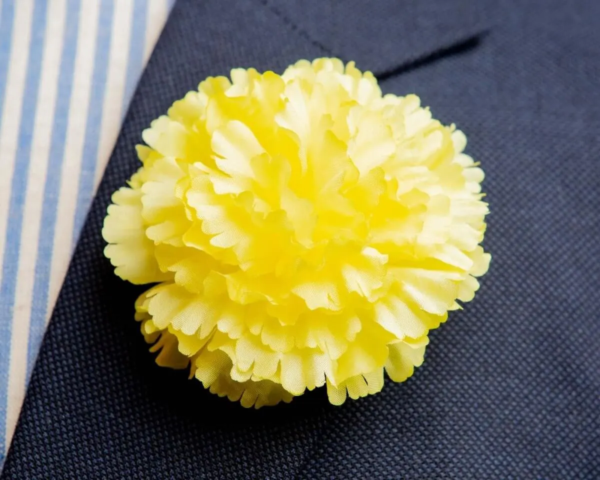 Boutonnière Nelke Gelb c Groß (Caryophyllaceae)