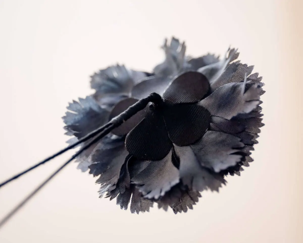Boutonnière Nelke Grau b Mittel (Caryophyllaceae) - Ansicht 3