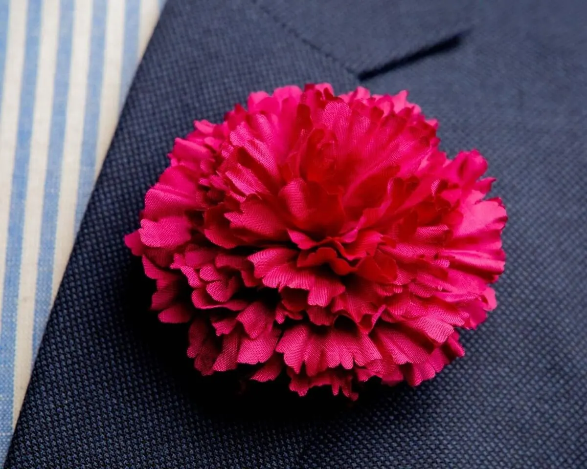 Boutonnière Nelke Karmesinrot c Groß (Caryophyllaceae)