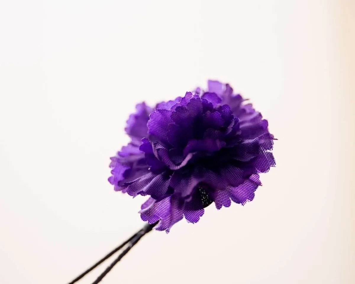 Boutonnière Nelke Lila a Klein (Caryophyllaceae) - Ansicht 2