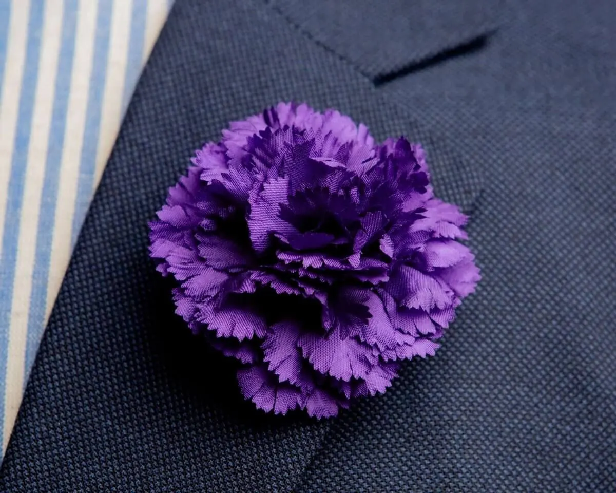 Boutonnière Nelke Lila b Mittel (Caryophyllaceae)