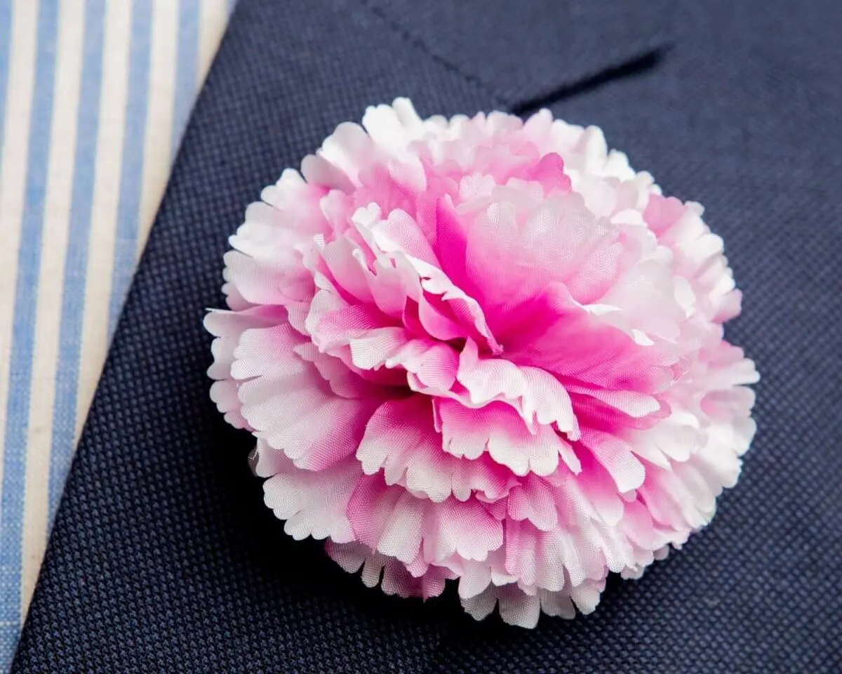 Boutonnière Nelke Magenta c Groß (Caryophyllaceae)