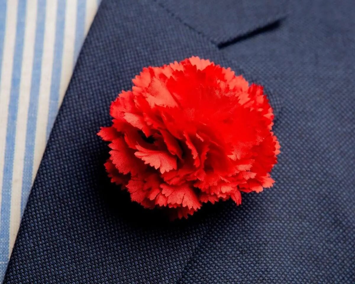 Boutonnière Nelke Rot b Mittel (Caryophyllaceae)