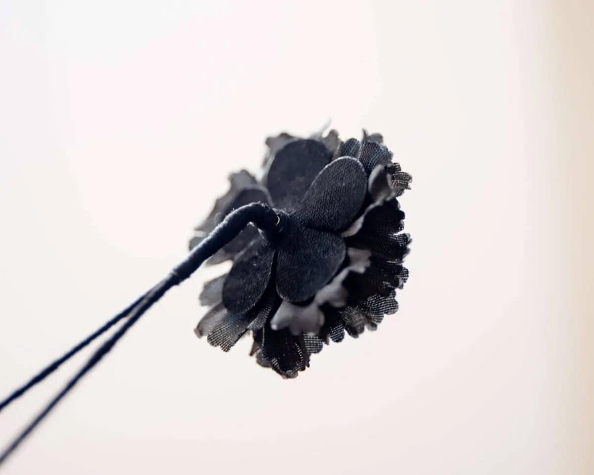 Boutonnière Nelke Schwarz a Klein (Caryophyllaceae) - Ansicht 3