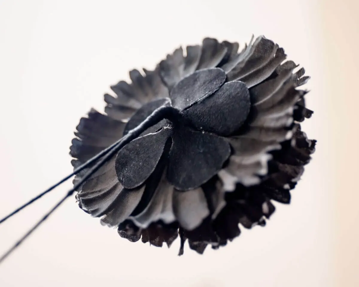 Boutonnière Nelke Schwarz c Groß (Caryophyllaceae) - Ansicht 3