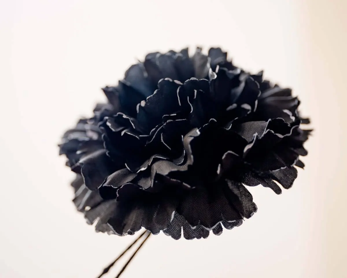 Boutonnière Nelke Schwarz c Groß (Caryophyllaceae) - Ansicht 2