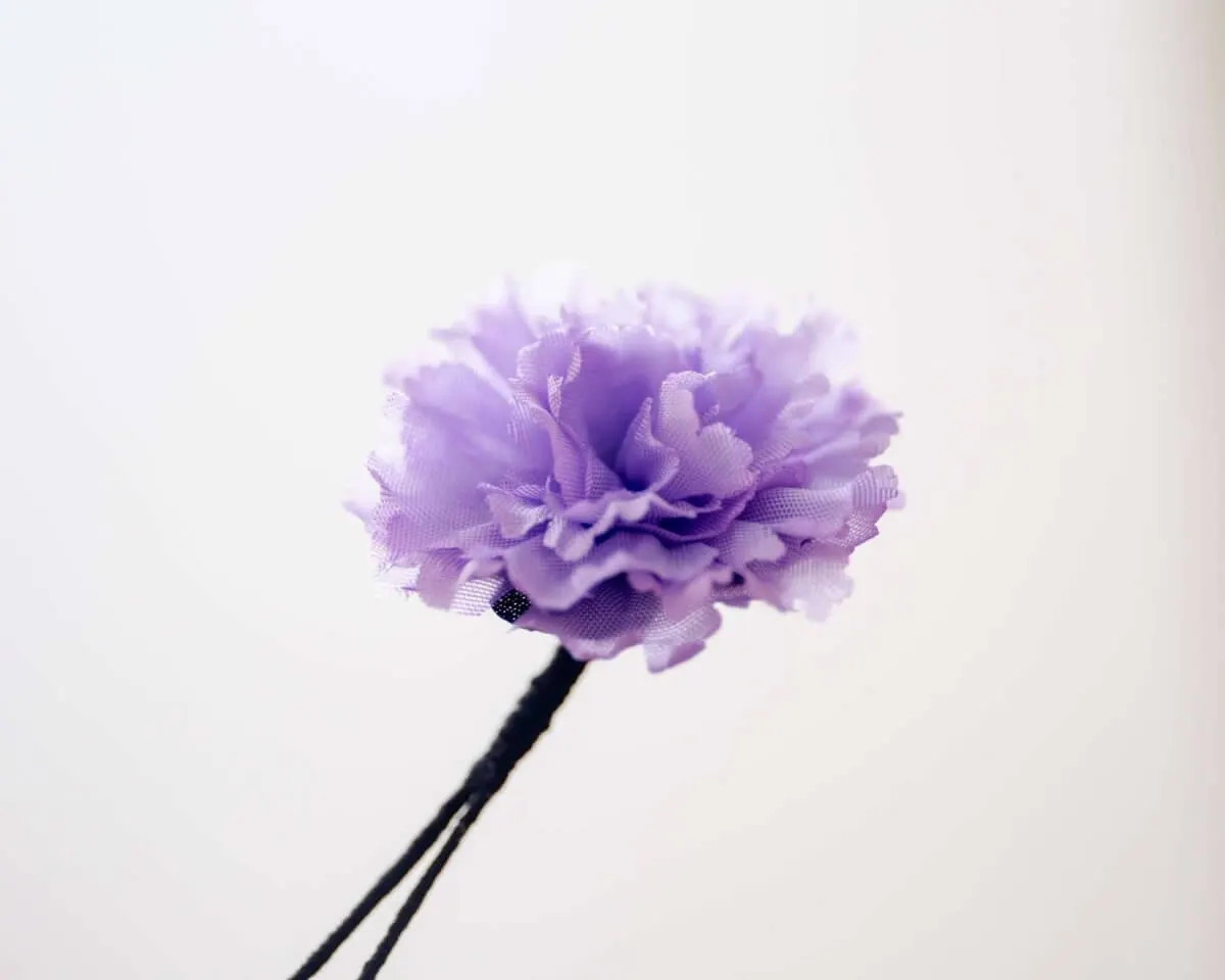Boutonnière Nelke Violett a Klein (Caryophyllaceae) - Ansicht 2