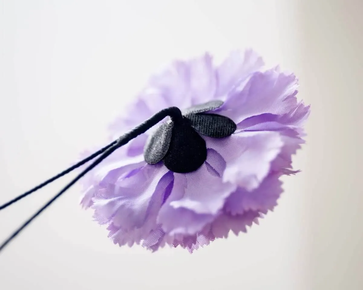 Boutonnière Nelke Violett b Mittel (Caryophyllaceae) - Ansicht 3