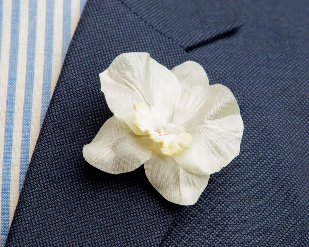 Boutonnière Orchidee Champagner (Orchidaceae)