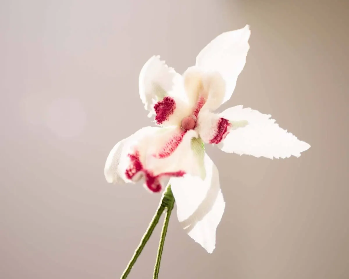 Boutonnière Orchidee (Odontoglossum) - Ansicht 2