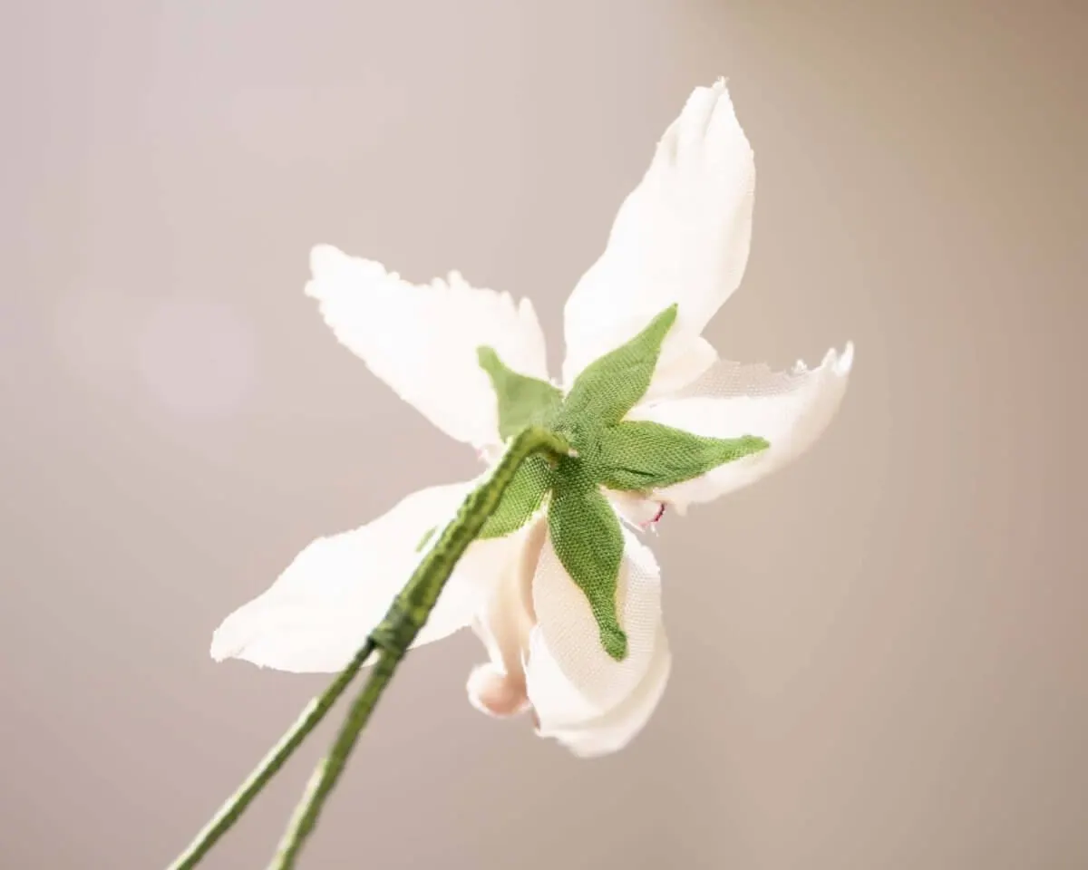Boutonnière Orchidee (Odontoglossum) - Ansicht 3