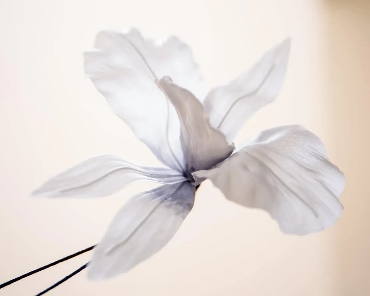 Boutonnière Orchidee Silber-Weiß (Burrageara Cambria) - Ansicht 2