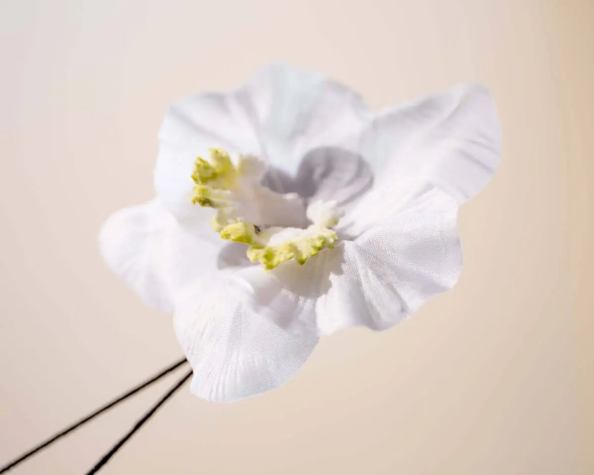 Boutonnière Orchidee Weiß (Orchidaceae) - Ansicht 2