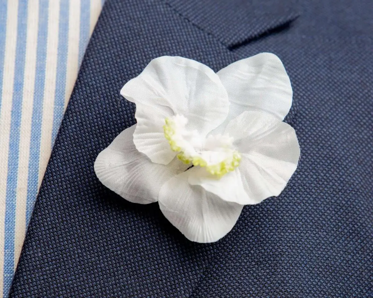 Boutonnière Orchidee Weiß (Orchidaceae)