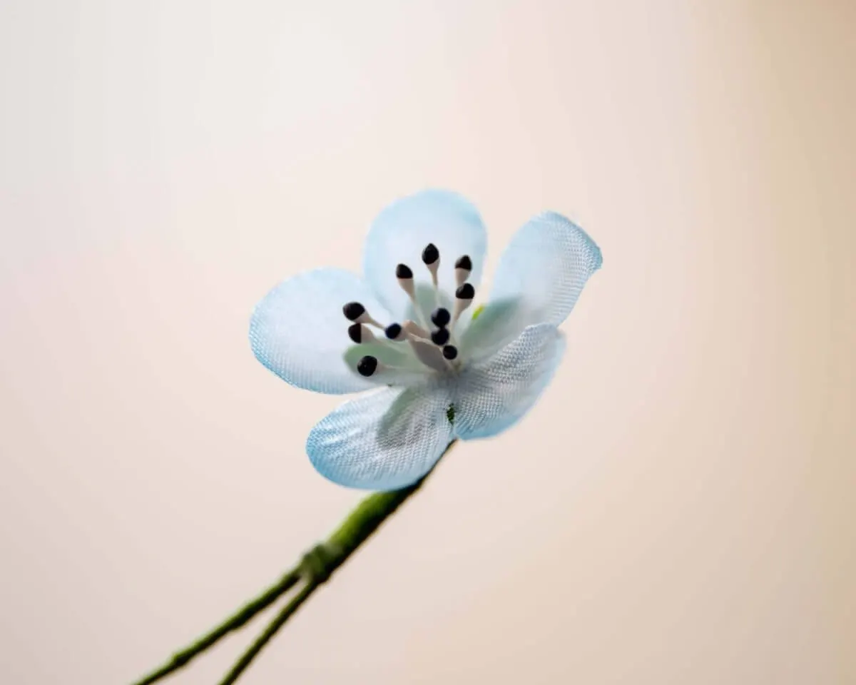 Boutonnière Persischer Ehrenpreis Mini (Veronica persica) - Ansicht 2