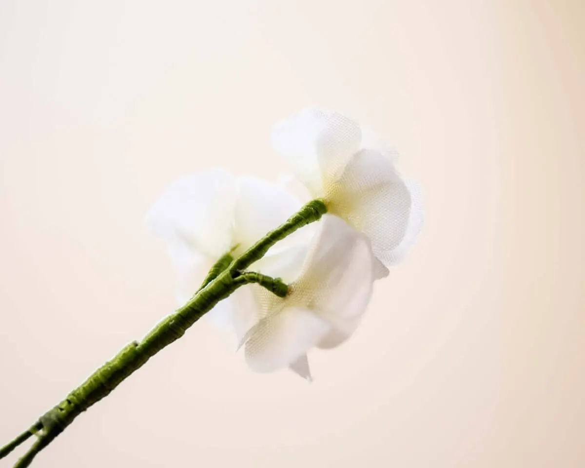 Boutonnière Phlox (griech.: φλόξ) - Ansicht 3