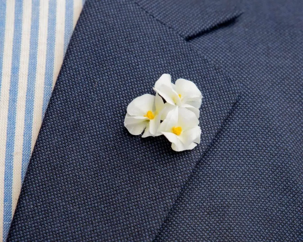 Boutonnière Phlox (griech.: φλόξ)